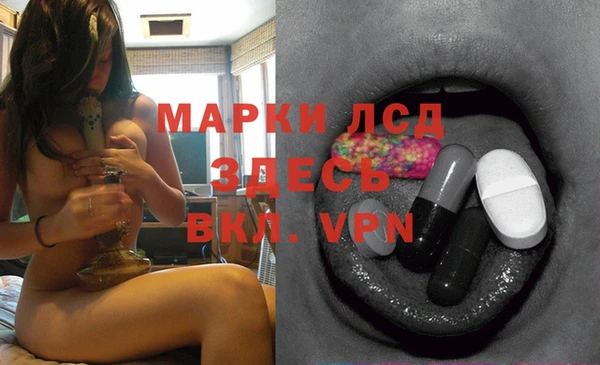 индика Вязьма