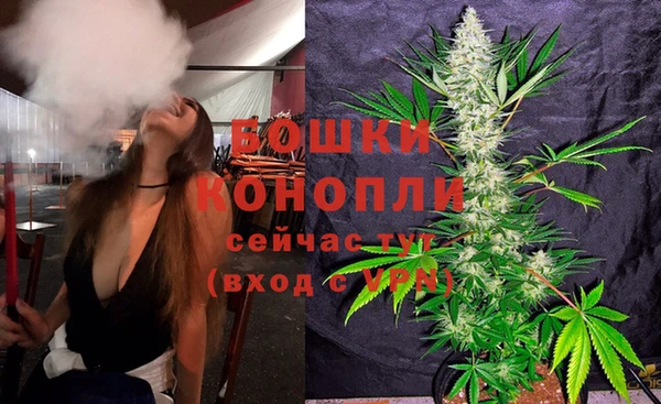 jwh Гусь-Хрустальный