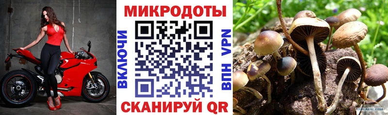 Псилоцибиновые грибы MAGIC MUSHROOMS  магазин продажи наркотиков  OMG как зайти  Галич 